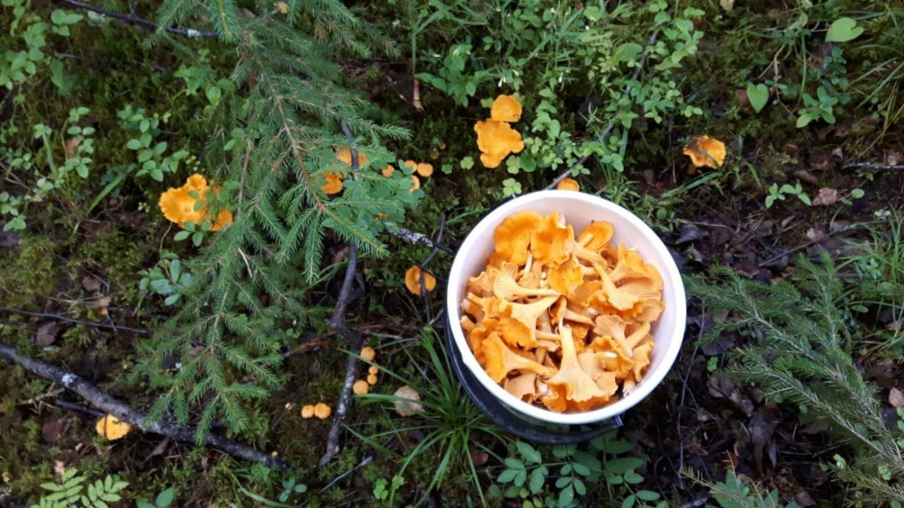 Willa Suvituuli | Paajoen Vuokramoekit Himos Zewnętrze zdjęcie