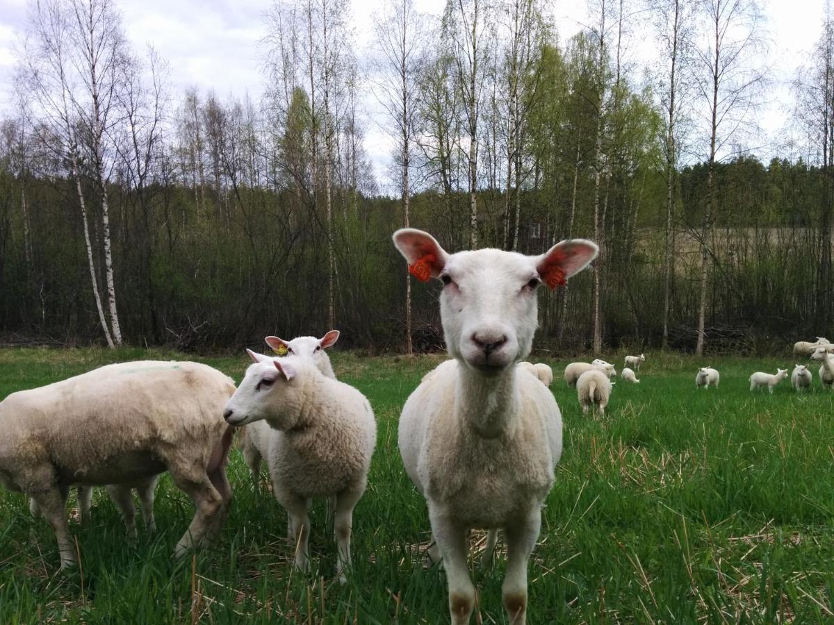 Willa Suvituuli | Paajoen Vuokramoekit Himos Zewnętrze zdjęcie